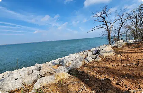 Wildlife and woodland at the Ray Roberts hunting and recreation area
